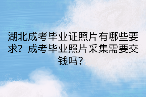 湖北成考毕业证照片有哪些要求？成考毕业照片采集需要交钱吗？