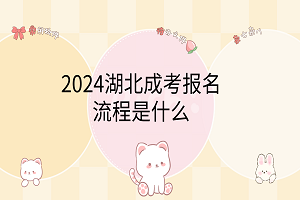 2024湖北成考报名流程是什么