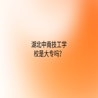 湖北中南技工学校是大专吗？