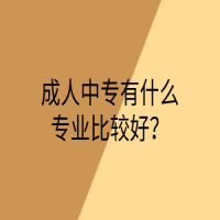 成人中专有什么专业比较好？