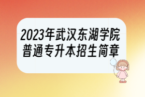 2023年武汉东湖学院普通专升本招生简章