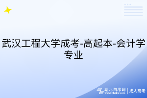 武汉工程大学成考-高起本-会计学专业
