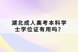 湖北成人高考本科学士学位证有用吗？