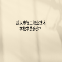 武汉市智工职业技术学校学费多少？