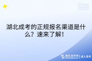 湖北成考的正规报名渠道是什么？速来了解！