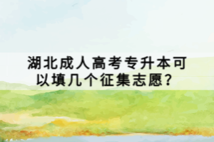 湖北成人高考专升本可以填几个征集志愿？