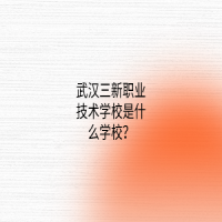 武汉三新职业技术学校是什么学校？