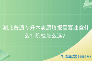 湖北普通专升本志愿填报需要注意什么？院校怎么选？