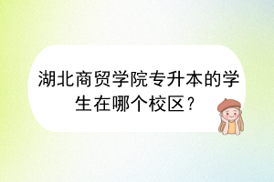 湖北商贸学院专升本的学生在哪个校区？