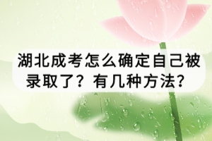 湖北成考怎么确定自己被录取了？有几种方法？