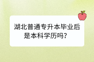 湖北普通专升本毕业后是本科学历吗？