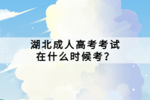 湖北成人高考考试在什么时候考？