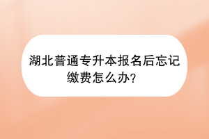 湖北普通专升本报名后忘记缴费怎么办？