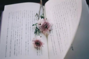 备考时如何选择专升本院校？