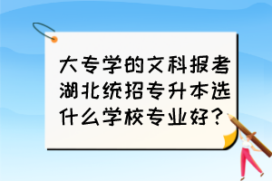 大专学的文科报考湖北统招专升本选什么学校专业好？