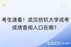 考生速看！武汉纺织大学成考成绩查询入口在哪？