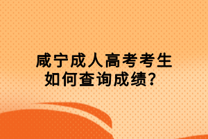 咸宁成人高考考生如何查询成绩？