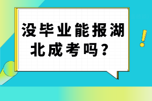 没毕业能报湖北成考吗？