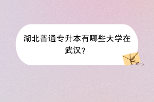 湖北普通专升本有哪些大学在武汉？