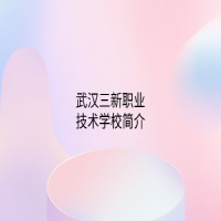 武汉三新职业技术学校简介