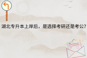 湖北专升本上岸后，是选择考研还是考公？