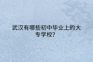 武汉有哪些初中毕业上的大专学校？