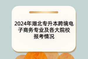 2024年湖北专升本跨境电子商务专业及各大院校报考情况