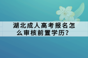 湖北成人高考报名怎么审核前置学历？