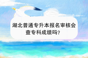 湖北普通专升本报名审核会审核专科成绩吗？