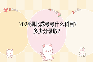 2024湖北成考考什么科目?多少分录取？