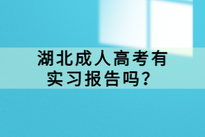 湖北成人高考有实习报告吗？