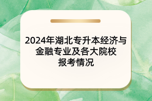 2024年湖北专升本经济与金融专业及各大院校报考情况