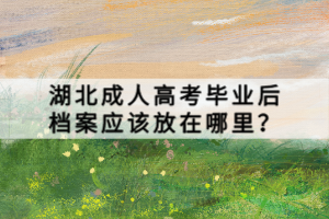 湖北成人高考毕业后档案应该放在哪里？