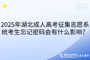 2025年湖北成人高考征集志愿系统考生忘记密码会有什么影响？