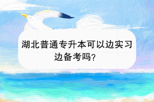 湖北普通专升本可以边实习边备考吗？