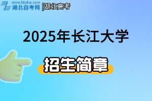 2025年长江大学艺术类专业招生简章