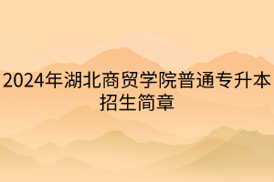 2024年湖北商贸学院普通专升本招生简章