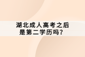 湖北成人高考之后是第二学历吗？