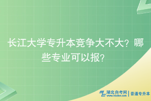 长江大学专升本竞争大不大？哪些专业可以报？