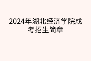 2024年湖北经济学院成考招生简章