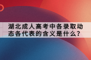 湖北成人高考中各录取动态各代表的含义是什么？