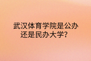 武汉体育学院是公办还是民办大学？