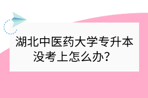 湖北中医药大学专升本没考上怎么办？