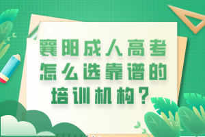 襄阳成人高考怎么选靠谱的培训机构？