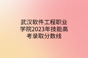 武汉软件工程职业学院2023年技能高考录取分数线