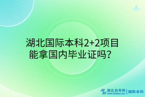 湖北国际本科2+2项目能拿国内毕业证吗？