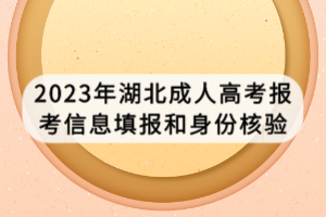 2023年湖北成人高考报考信息填报和身份核验
