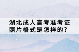 湖北成人高考准考证照片格式是怎样的？