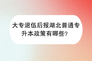 大专退伍后报湖北普通专升本政策有哪些？