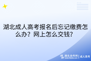湖北成人高考报名后忘记缴费怎么办？网上怎么交钱？